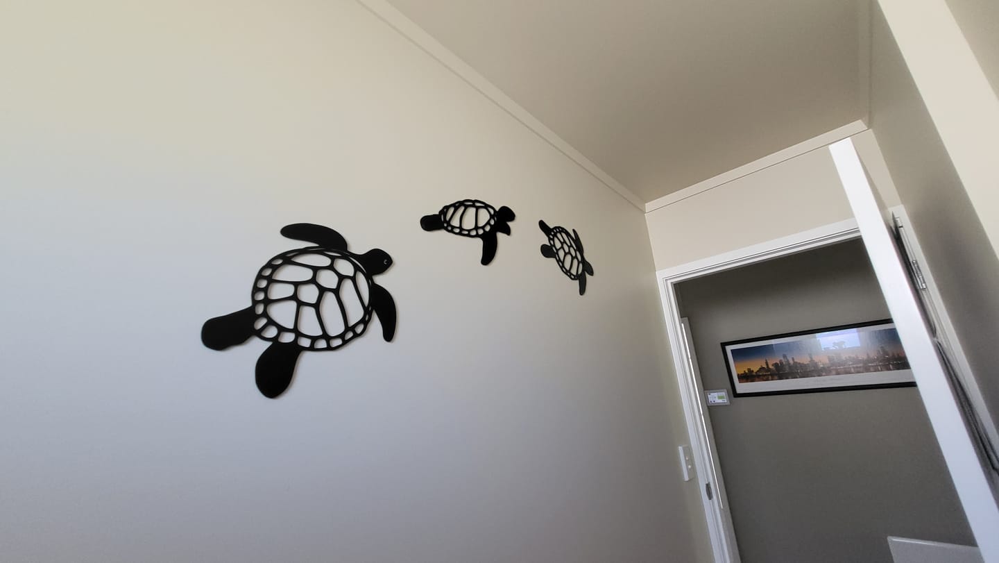 Customer photo review of Sea Turtle Wall Art Set