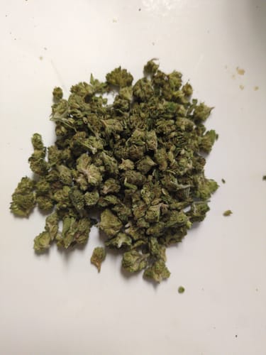 Customer photo review of Lemon Cherry Gelato