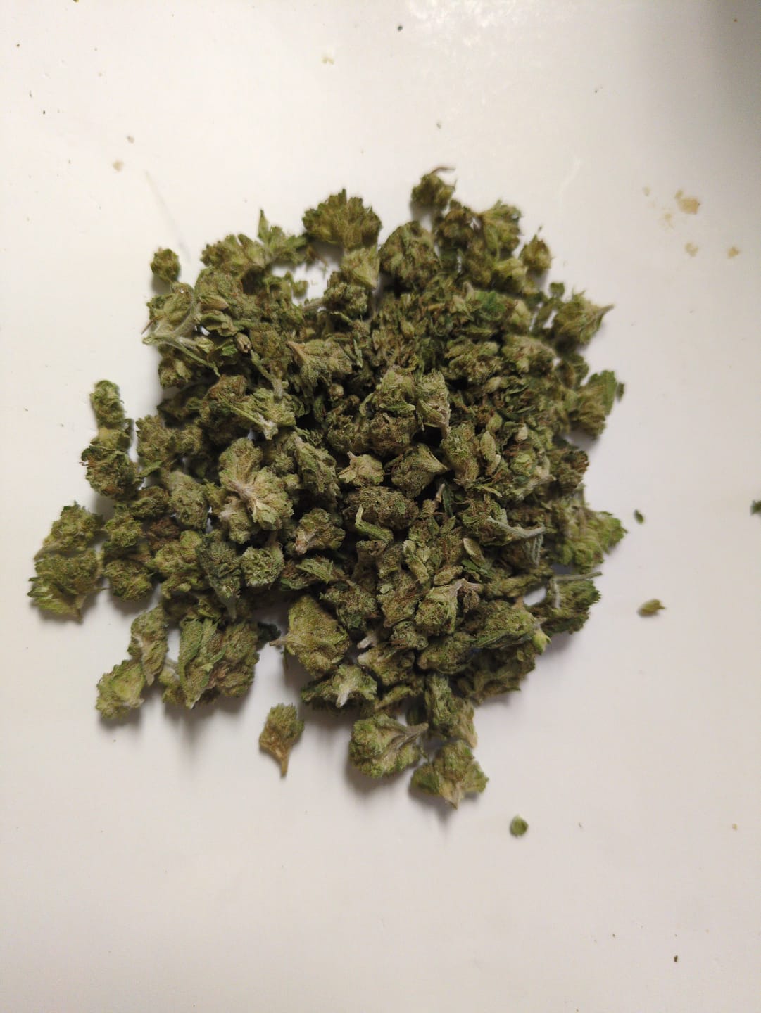 Customer photo review of Lemon Cherry Gelato