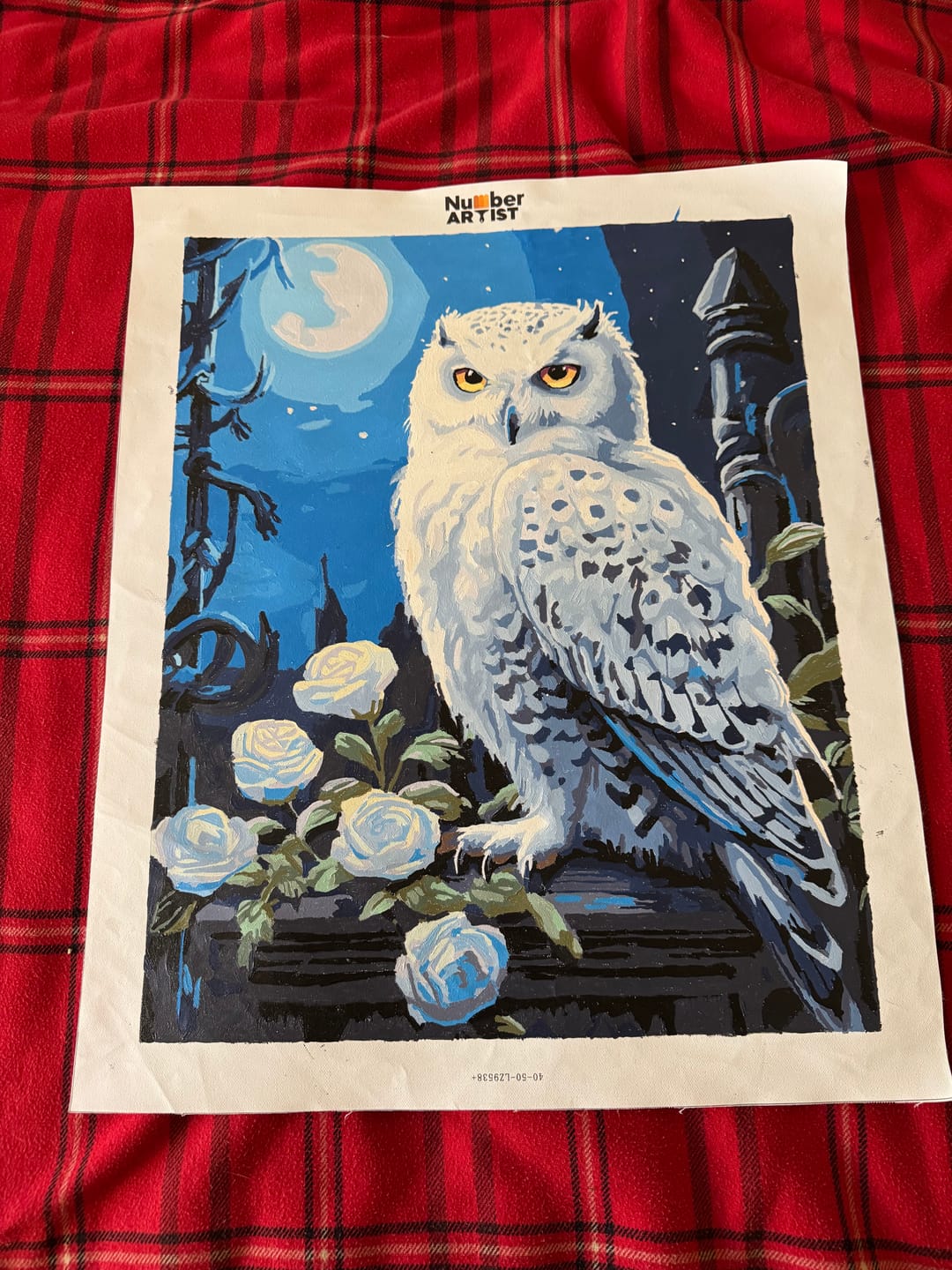 Customer photo review of Snowy Owl