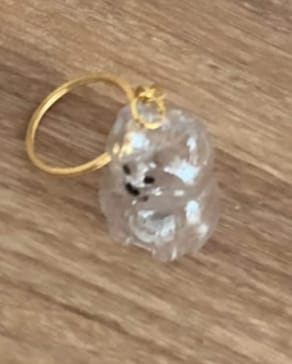 Customer photo review of Llavero Recuerdo Mascota