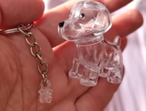 Customer photo review of Llavero Recuerdo Mascota