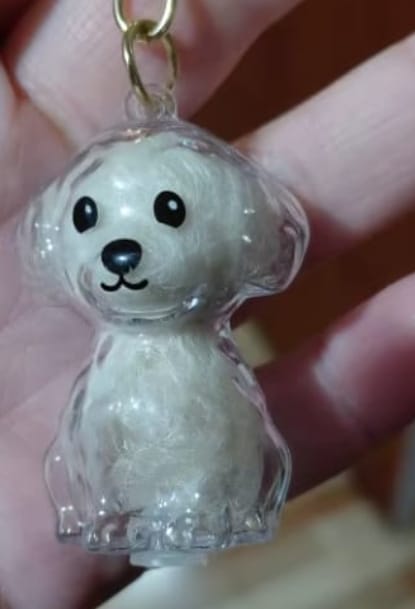 Customer photo review of Llavero Recuerdo Mascota