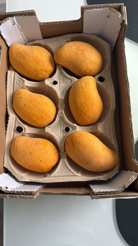 Kunde zeigt die gelieferte Sparbox mit fünf frischen Mango Honig Ataulfo Bio Früchten in der Pappschale.