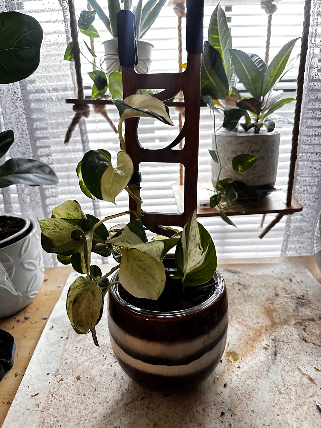 Customer photo review of Stella - Modular ladder support