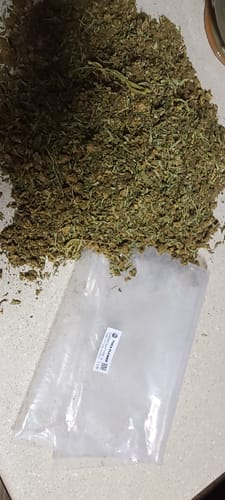 Customer photo review of THCA Flower Budget Buds