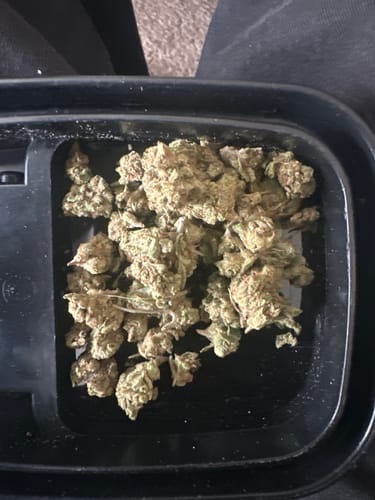 Lemonatti Minis - Bulk Minis - Sativa photo review