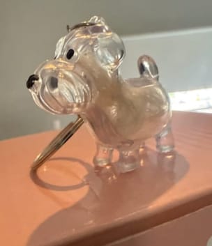 Customer photo review of Llavero Recuerdo Mascota
