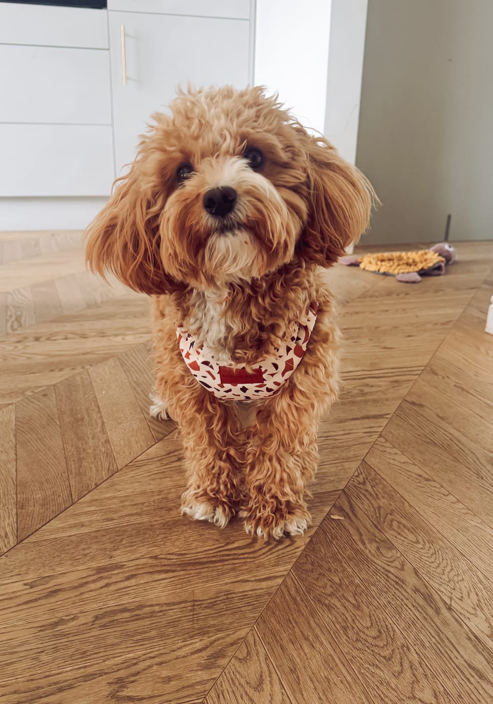Customer photo review of Szelki bezuciskowe "Beige Terrazzo" - złote okucia
