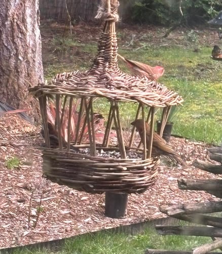 Customer photo review of The Willow Bird Feeder Course and Kit