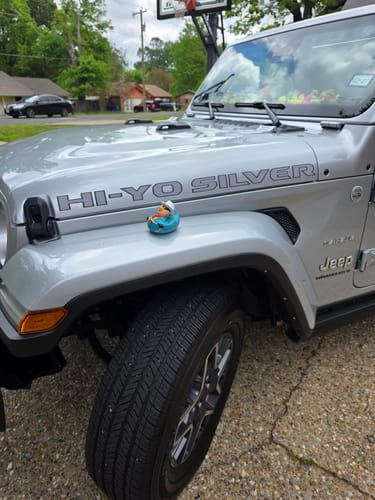 Customer photo review of Custom Hood Lettering | Set of 2