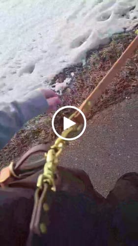 Customer video review of Hands-Free Leash Adapter