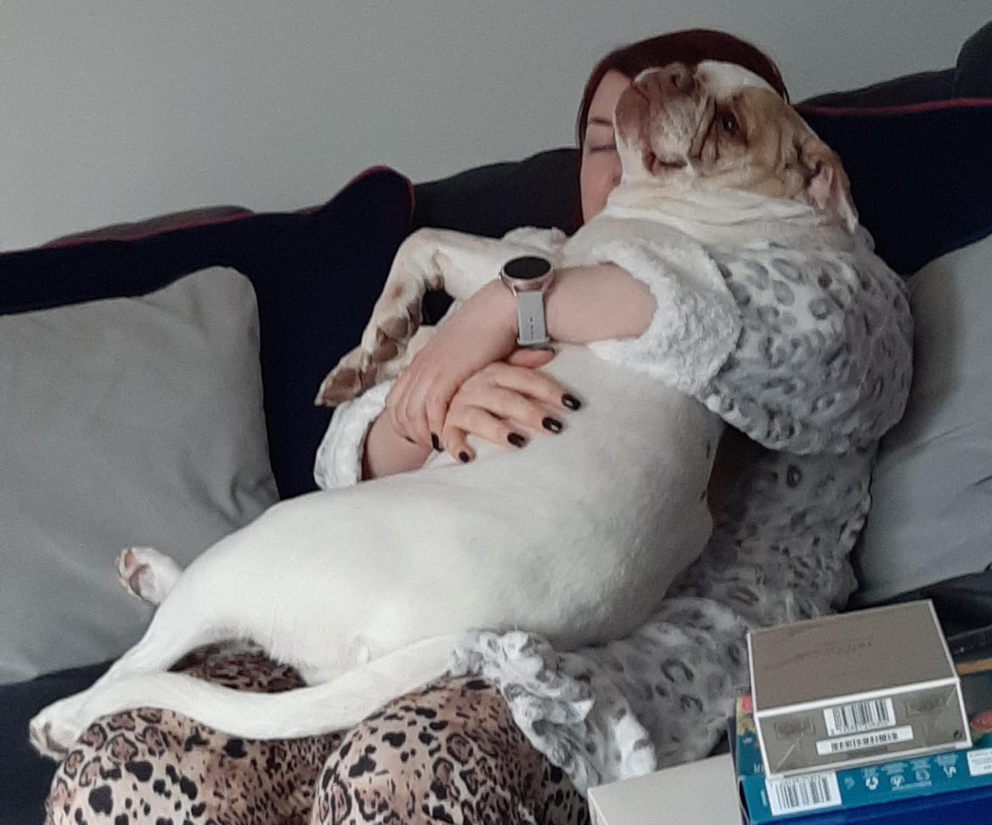 Customer photo review of Baby Fresh Dog Conditioner