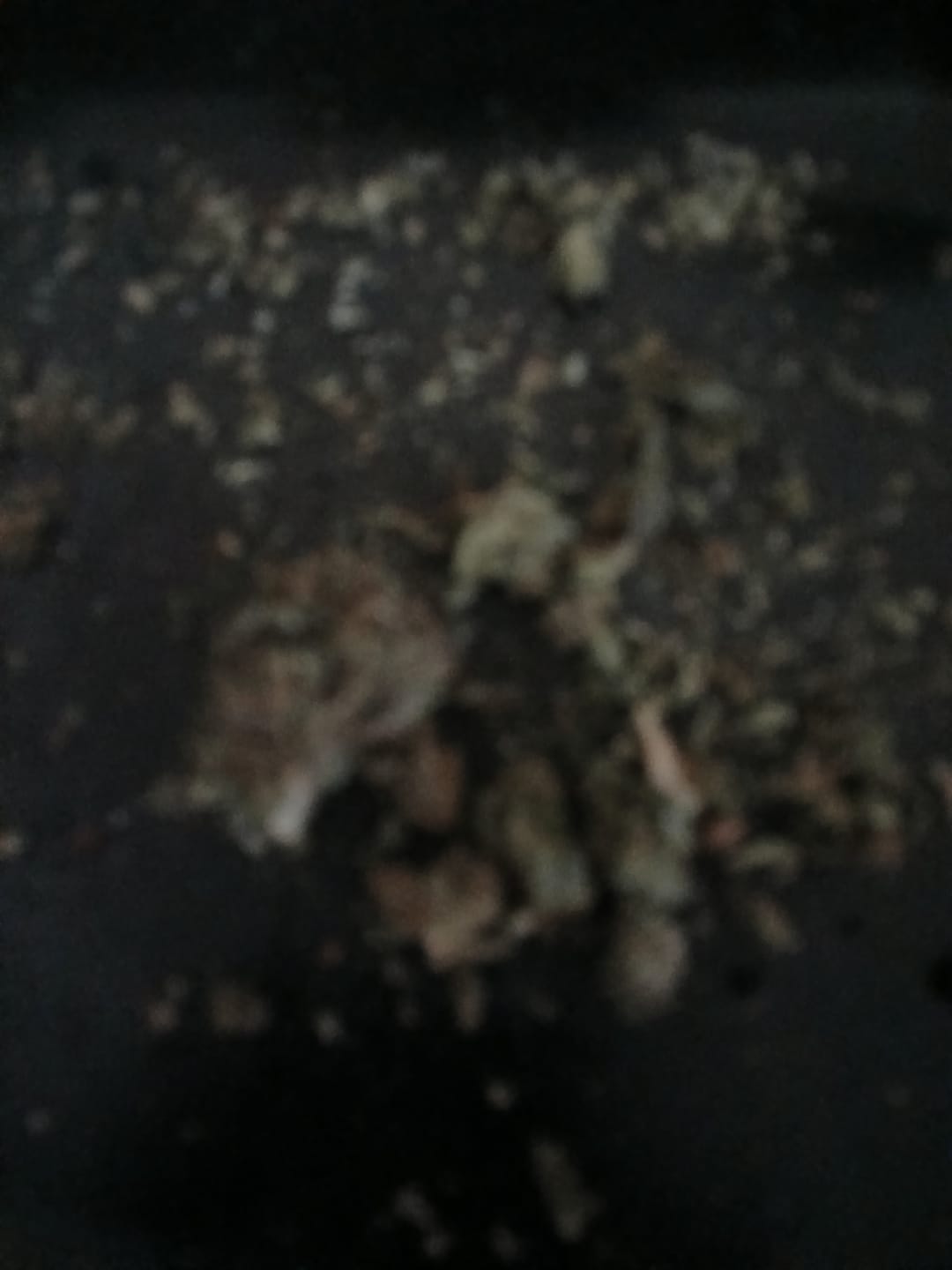 Customer photo review of Strawberry Gelato - Bulk - Hybrid