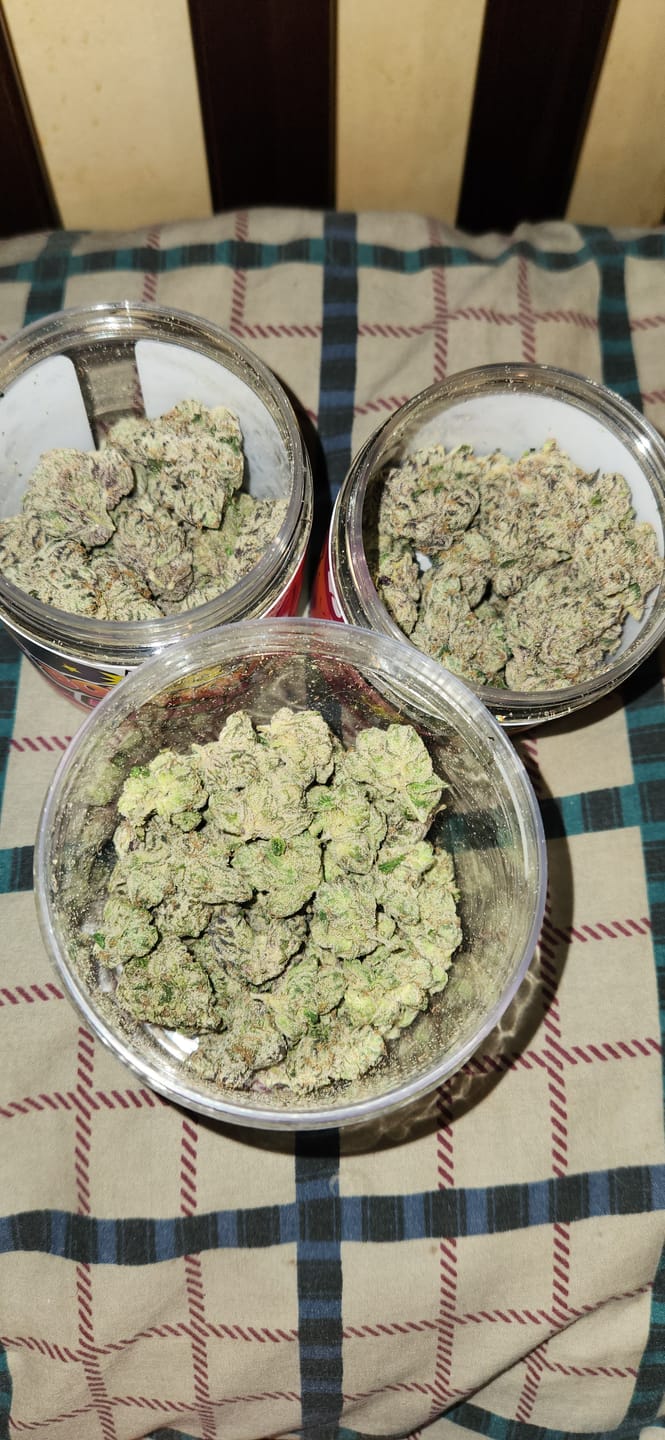 Customer photo review of Elite Boutique Exotics - Dark Matter - 14 Grams - Hybrid