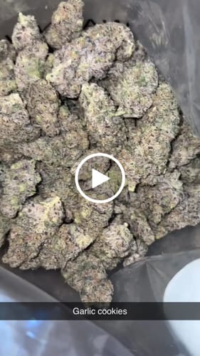 Garlic Cookies Indoor - Bulk - Hybrid photo review