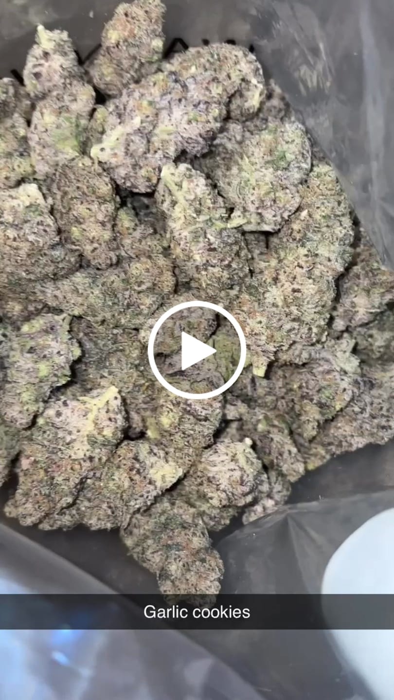 Customer video review of Garlic Cookies Indoor - Bulk - Hybrid