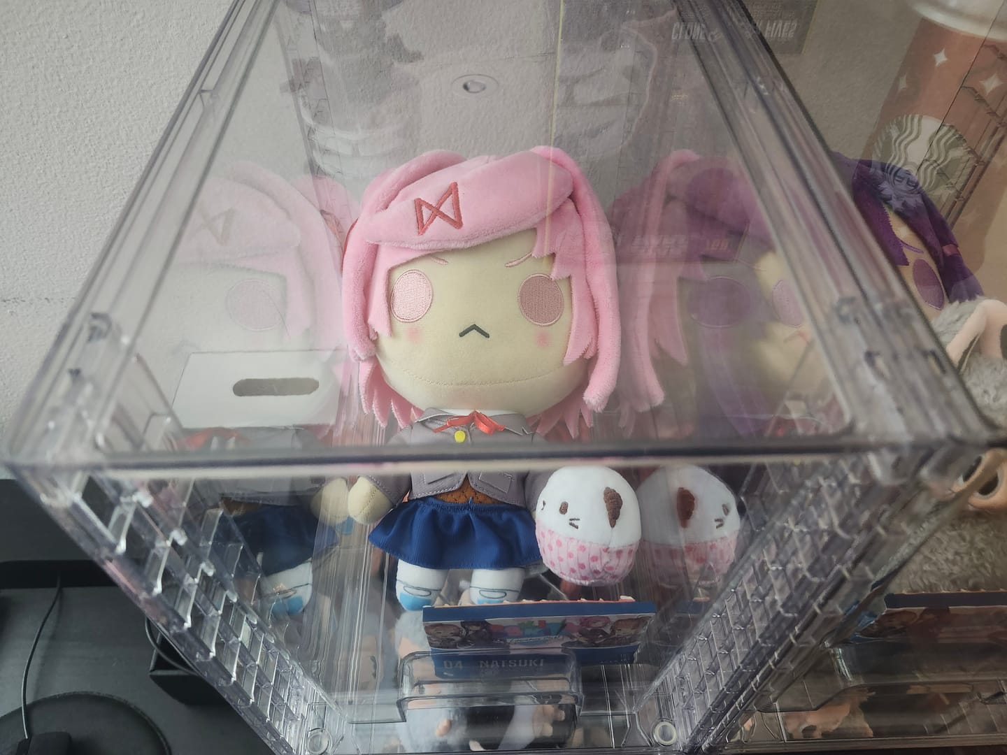 Customer photo review of Doki Doki Literature Club - Natsuki Collector's Plush