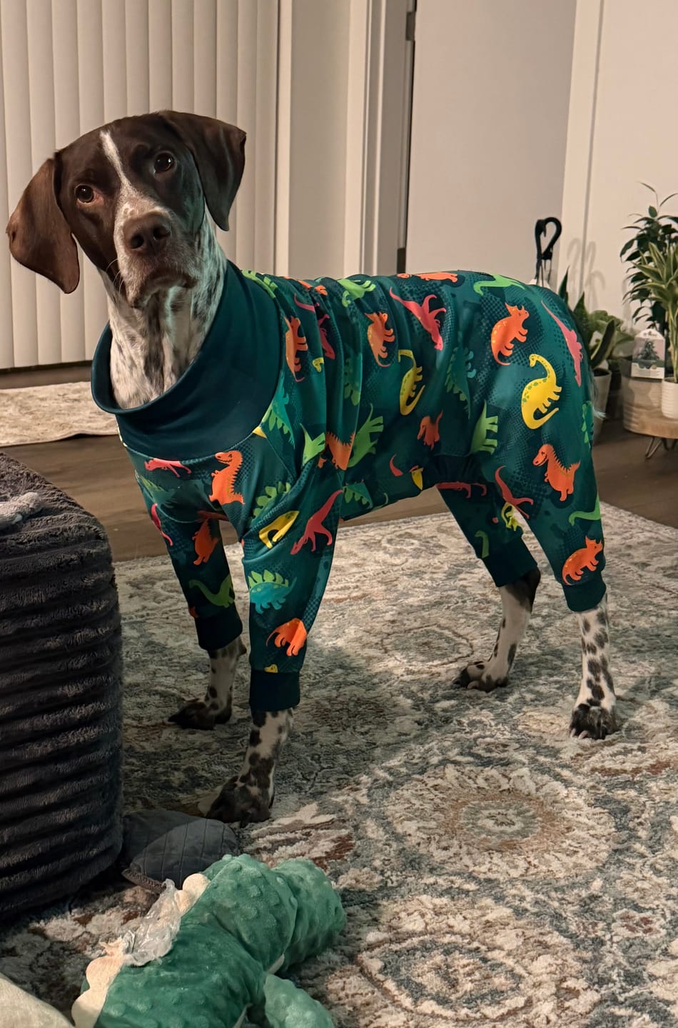 Customer photo review of Dog Pajama - Dinosaurs