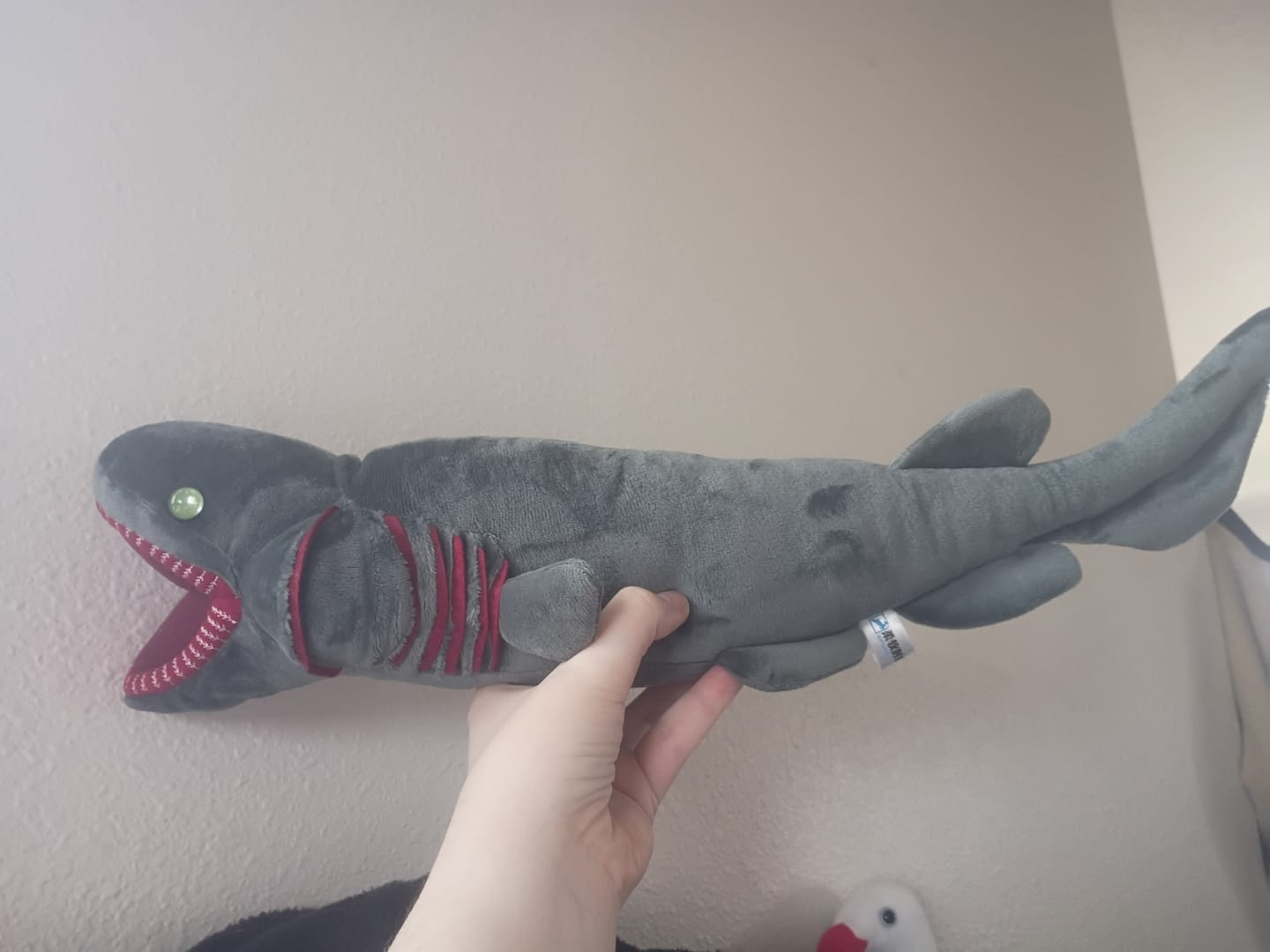 Customer photo review of Frilled Shark Soft Stuffed Plush Toy