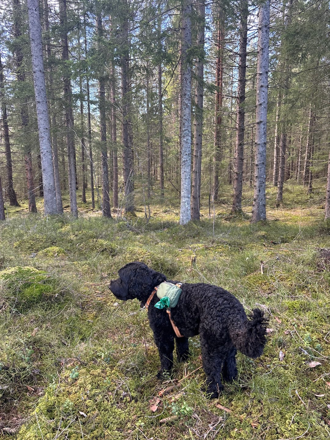 Customer photo review of Mørkeblå Ball Bag