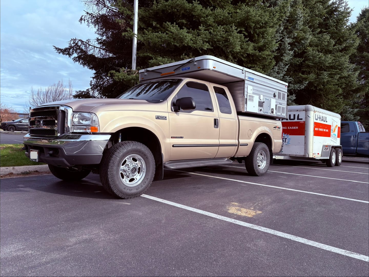 Customer photo review of JeliBuilt Tuning For Hydra - Email