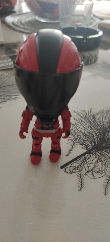 Customer photo review of HiddenRider