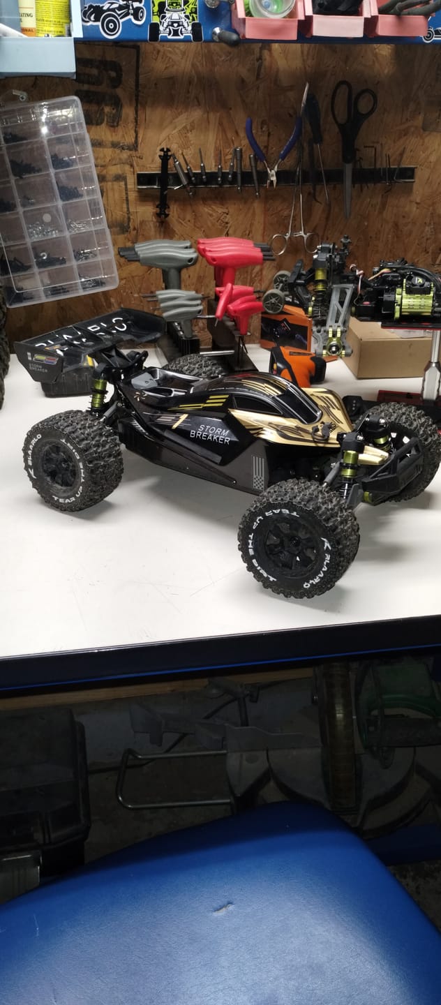 Customer photo review of Rlaarlo Storm Breaker 1/10 Carbon Fiber Brushless RTR 4WD Buggy | SBK10