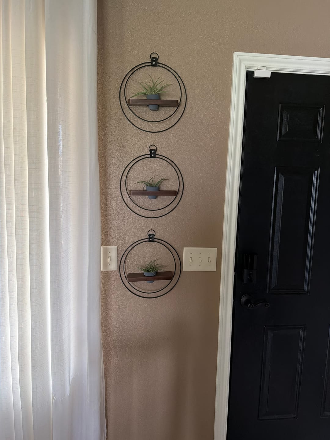 Customer photo review of Air Plant Shelf + Pot Trio