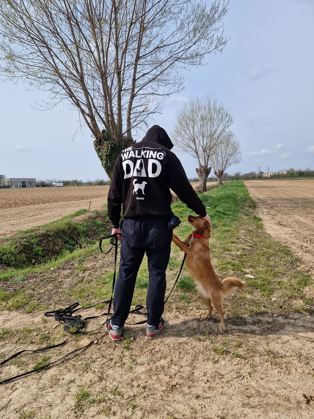 Customer photo review of The Walking Dad - Felpa personalizzata