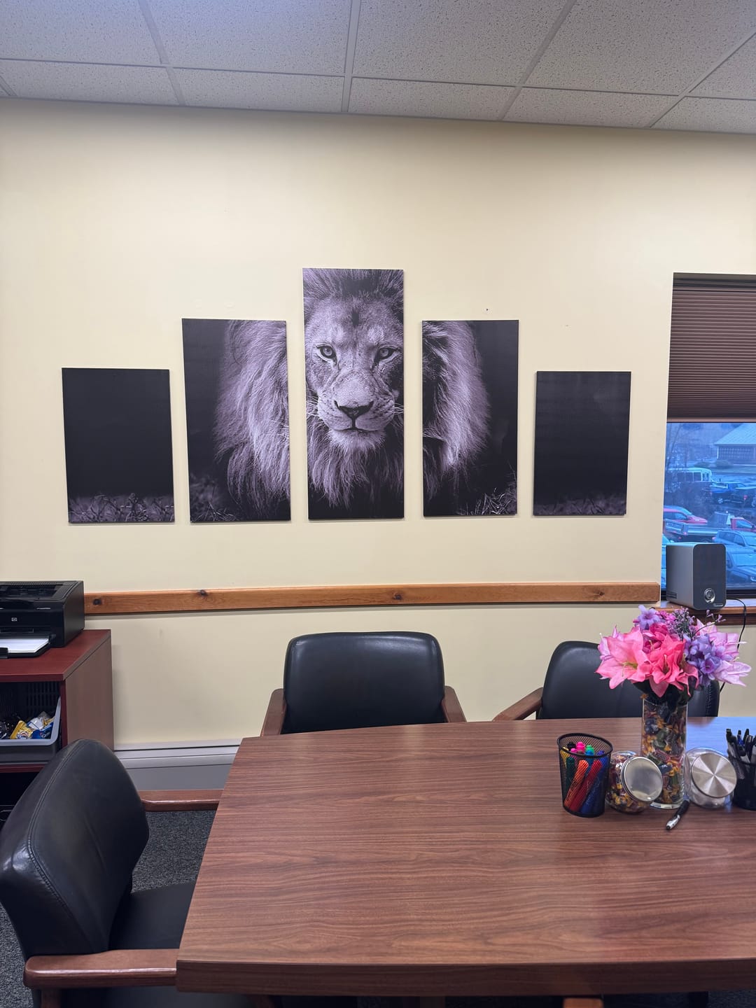 Customer photo review of Male African Lion in High-Contrast Black and White