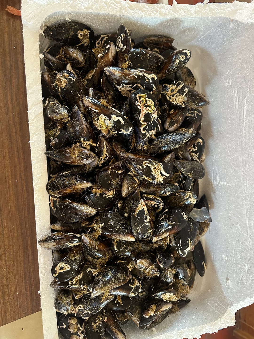 Customer photo review of Mejillones