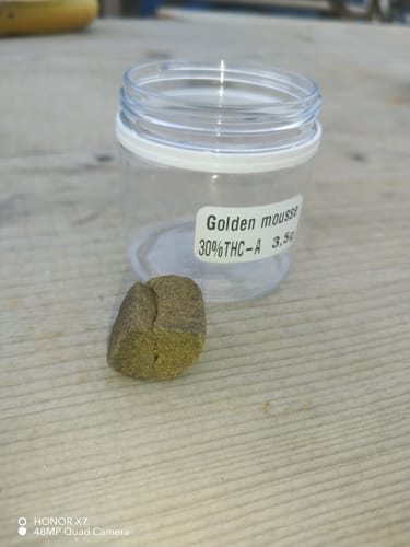 Customer's piece of Golden Mousse 30% THCA shown next to its clear labeled container on a wooden table.