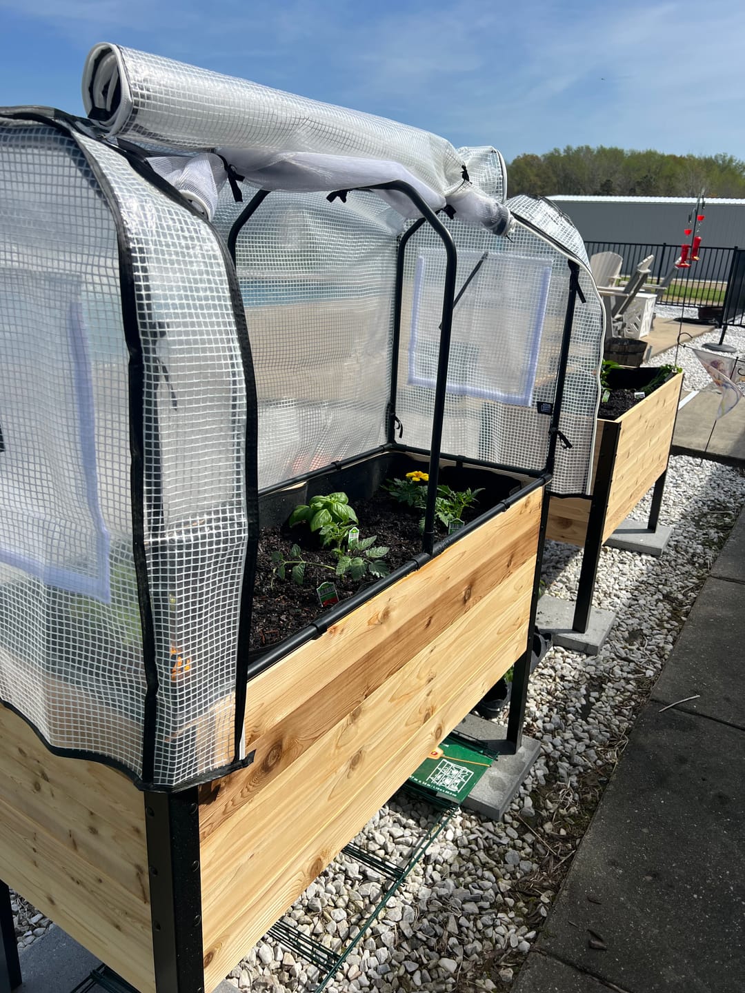 Customer photo review of Greenhouse Cover