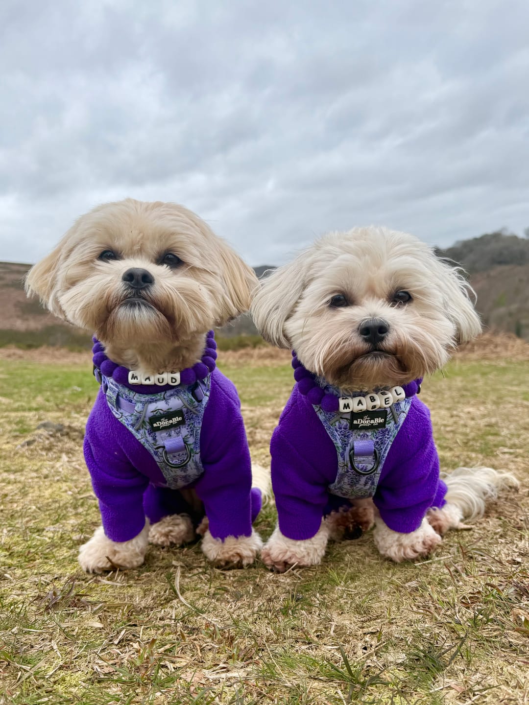 Customer photo review of Alphabet Pom Pom Collar