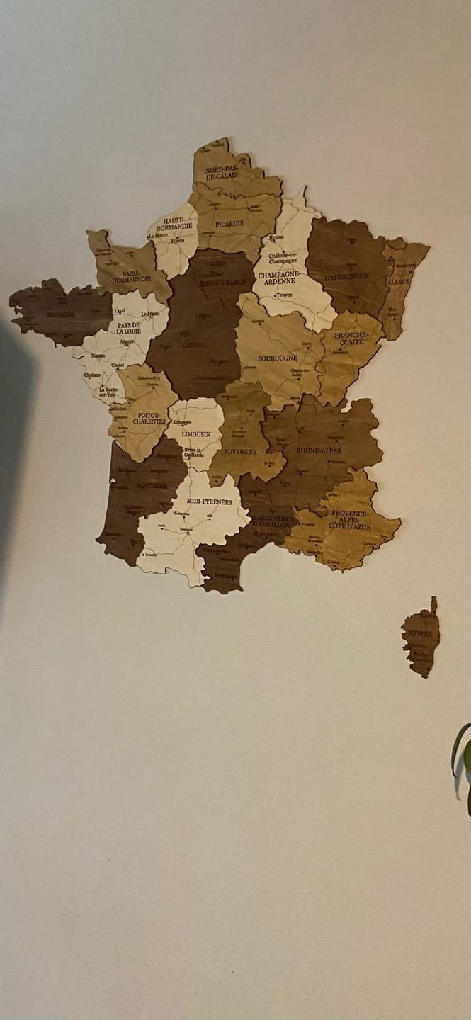 Customer photo review of 🇫🇷 France 3D Wooden Map