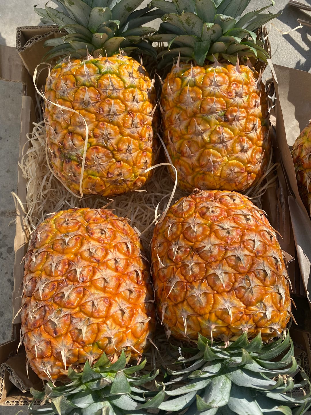 Customer photo review of Ananas Flugware reifgeerntet (stk. ca 1,5kg!) Aktionspreis %