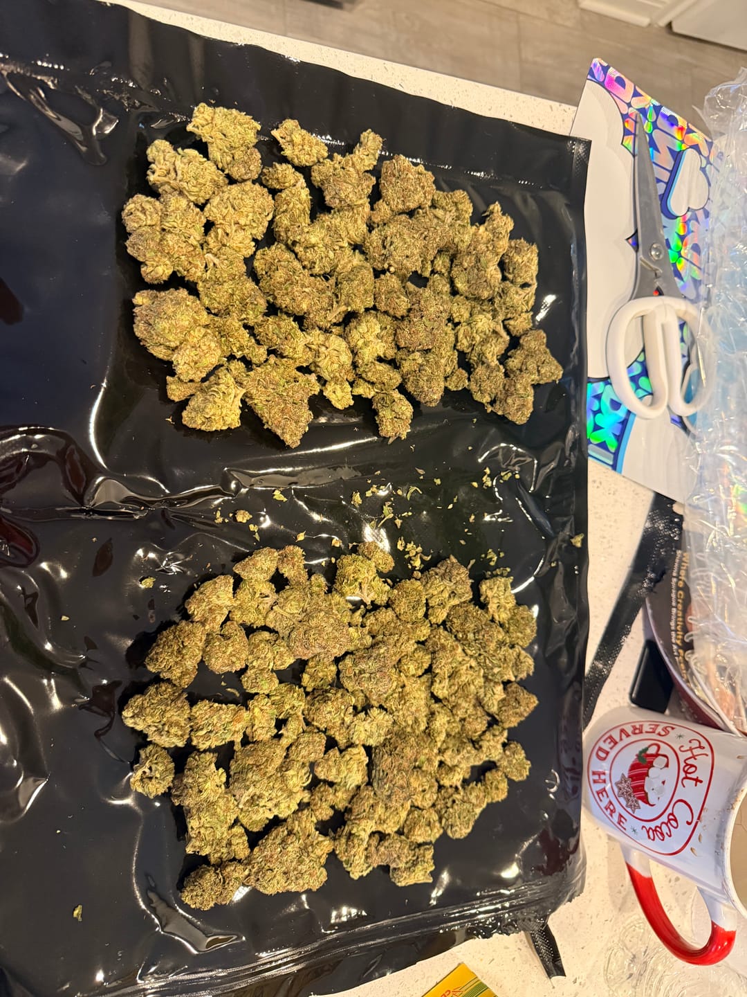 Customer photo review of Rainbow Sherbet Indoor - Bulk - Hybrid