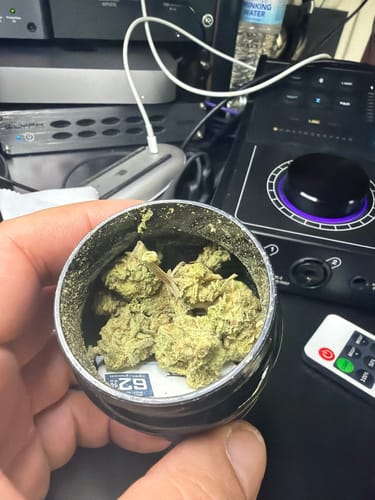 Customer photo review of Blue Dream