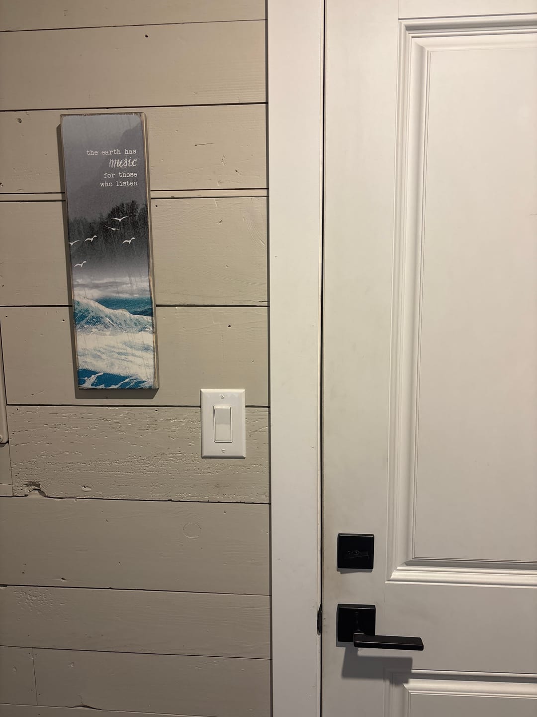 Customer photo review of Timber Art - Earth Music