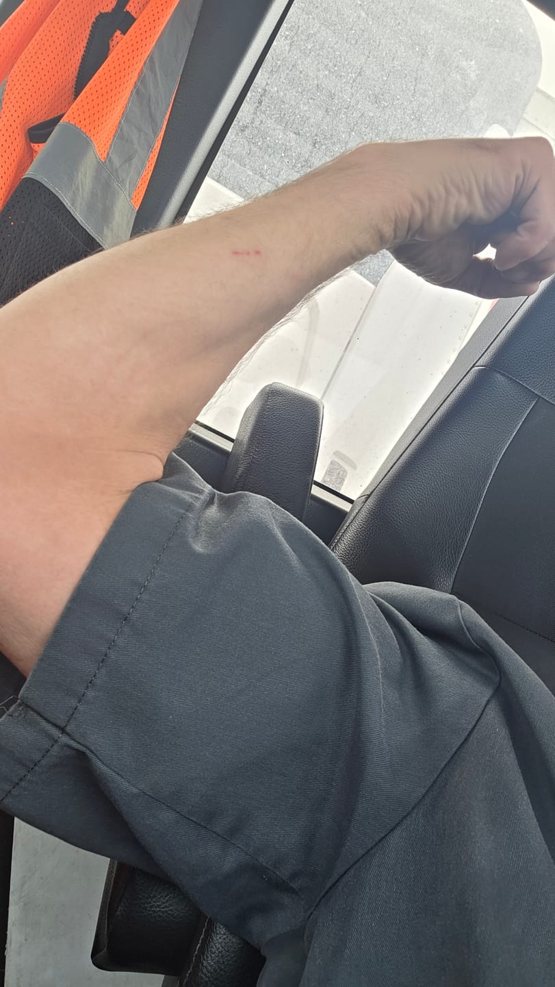 Customer photo review of Primal Reindeer Testosterone Support