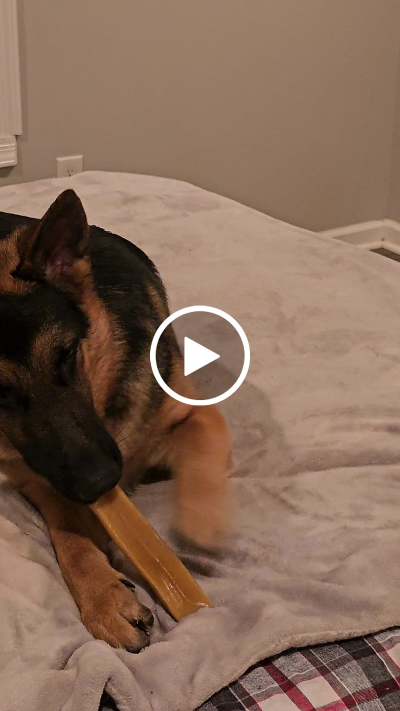 Customer video review of Regular/Unflavored Himalayan Yak Chews | 6-Sizes (for Small to Big Dogs)