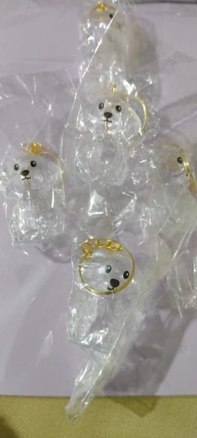 Customer photo review of Llavero Recuerdo Mascota