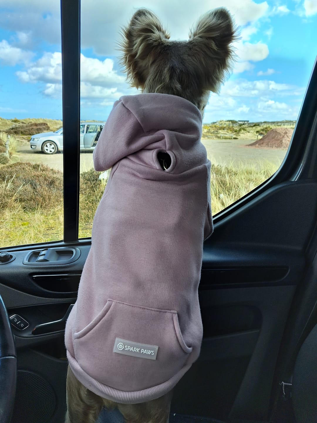 Customer photo review of Essential Dog Hoodies