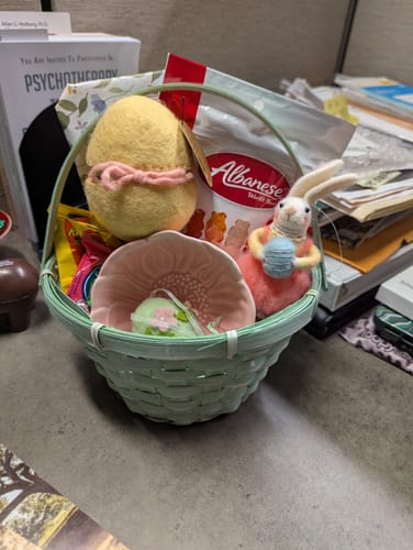 Customer photo review of Felt Surprise Egg with Lamb Inside