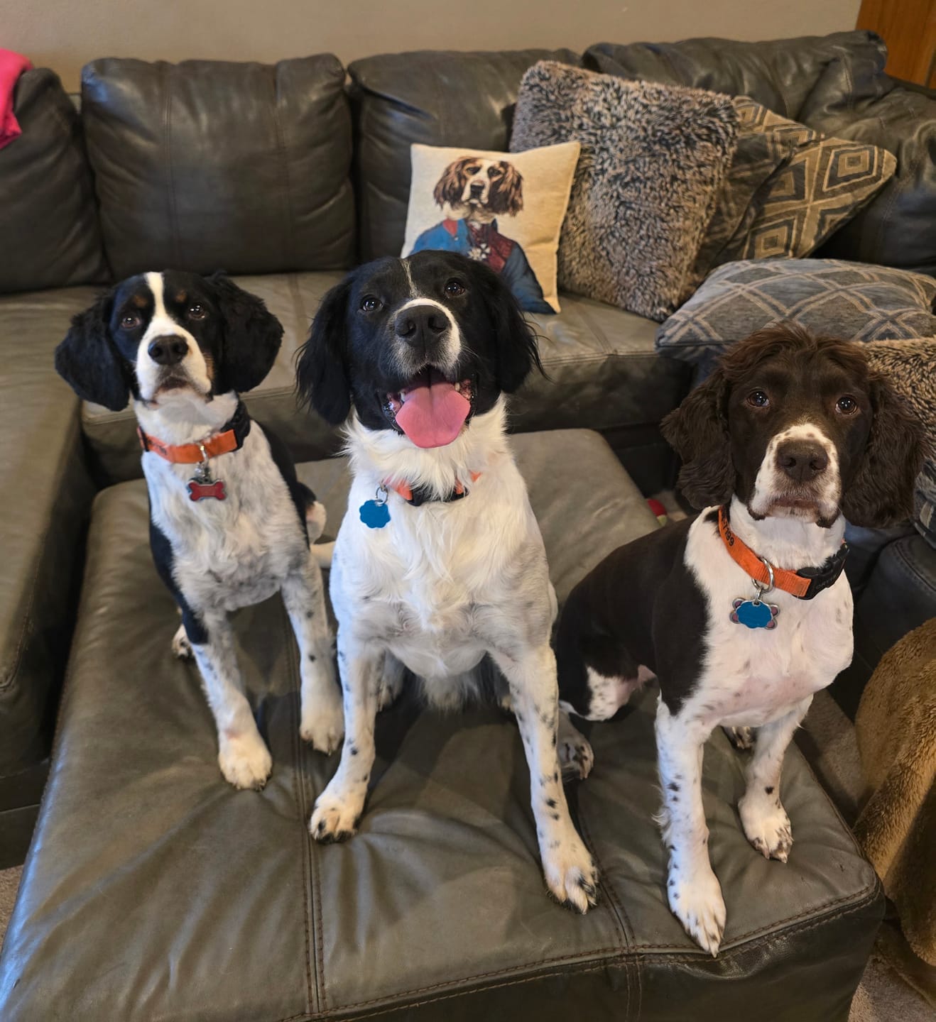 Customer photo review of 4 pack get 1 free special