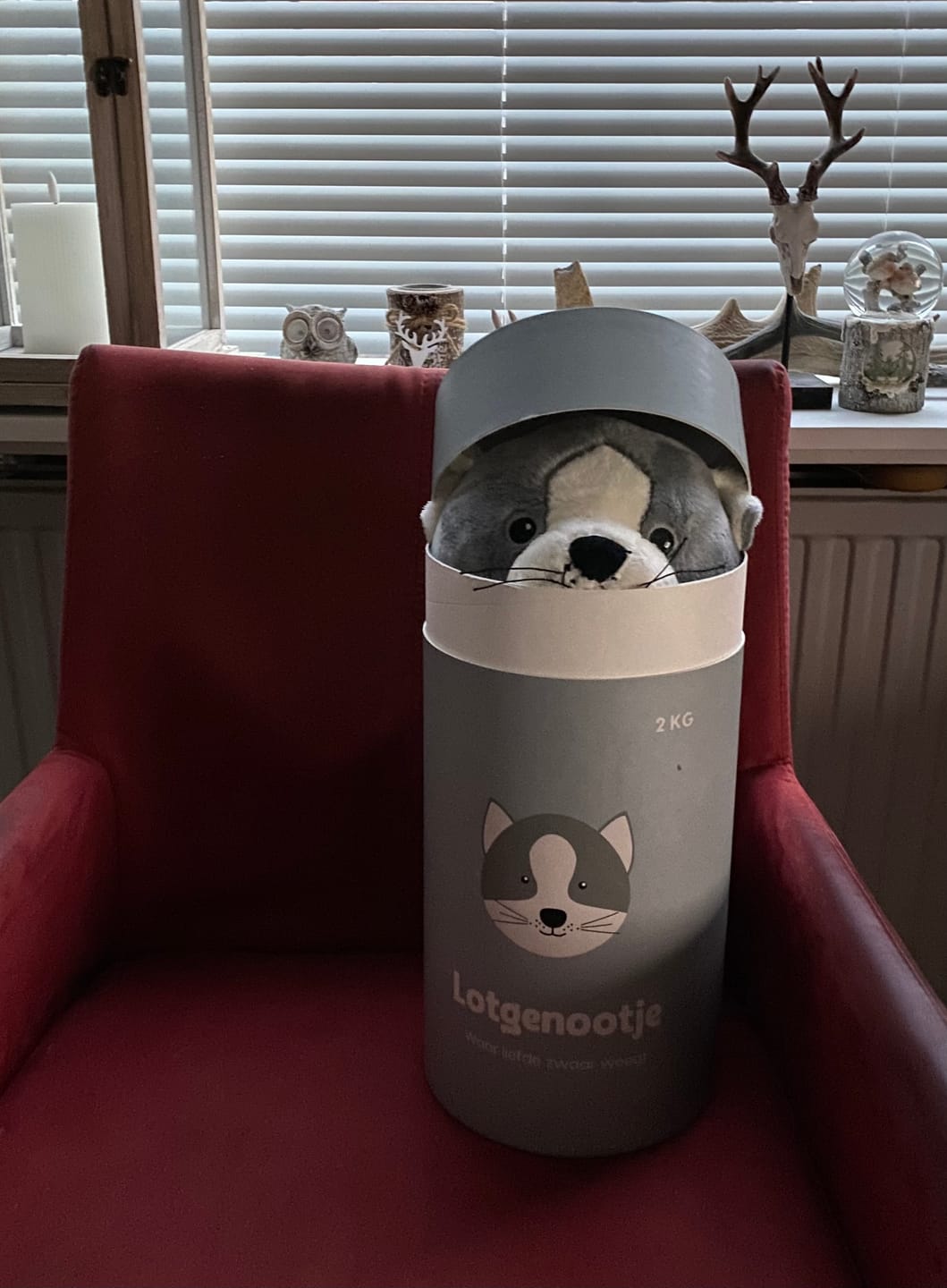 Customer photo review of Lotgenootje Kat 2kg