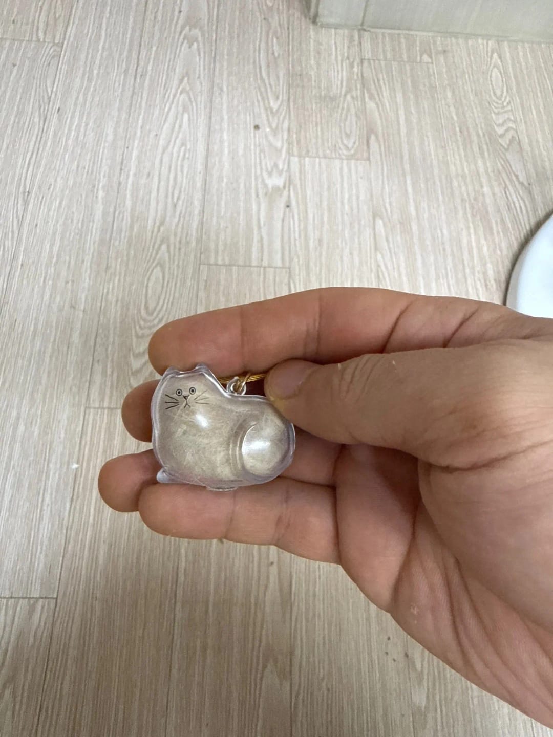 Customer photo review of Llavero Recuerdo Mascota