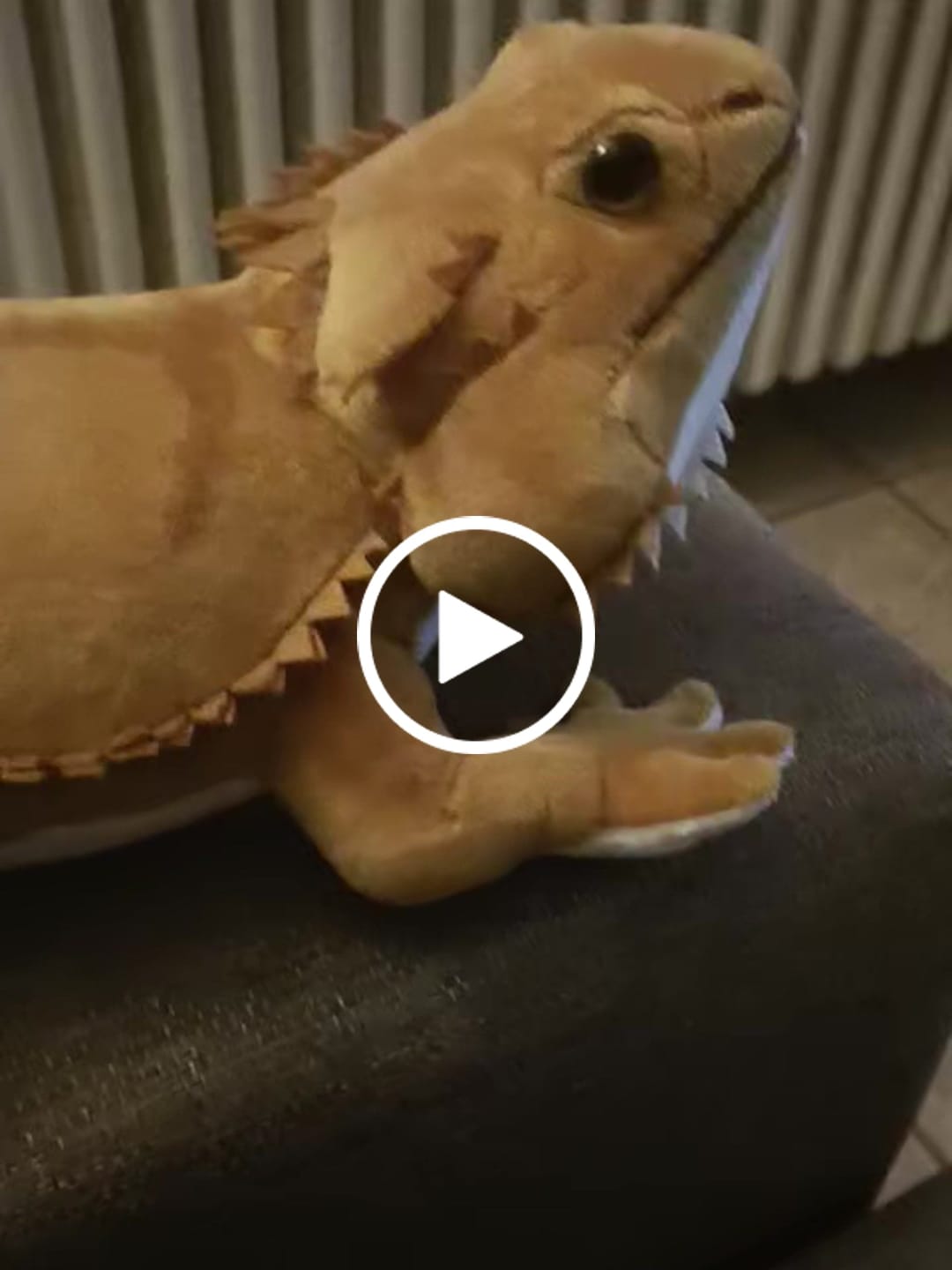 Customer video review of Bearded Dragon Lizard Soft Stuffed Plush Toy