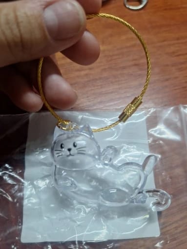 Customer photo review of Llavero Recuerdo Mascota